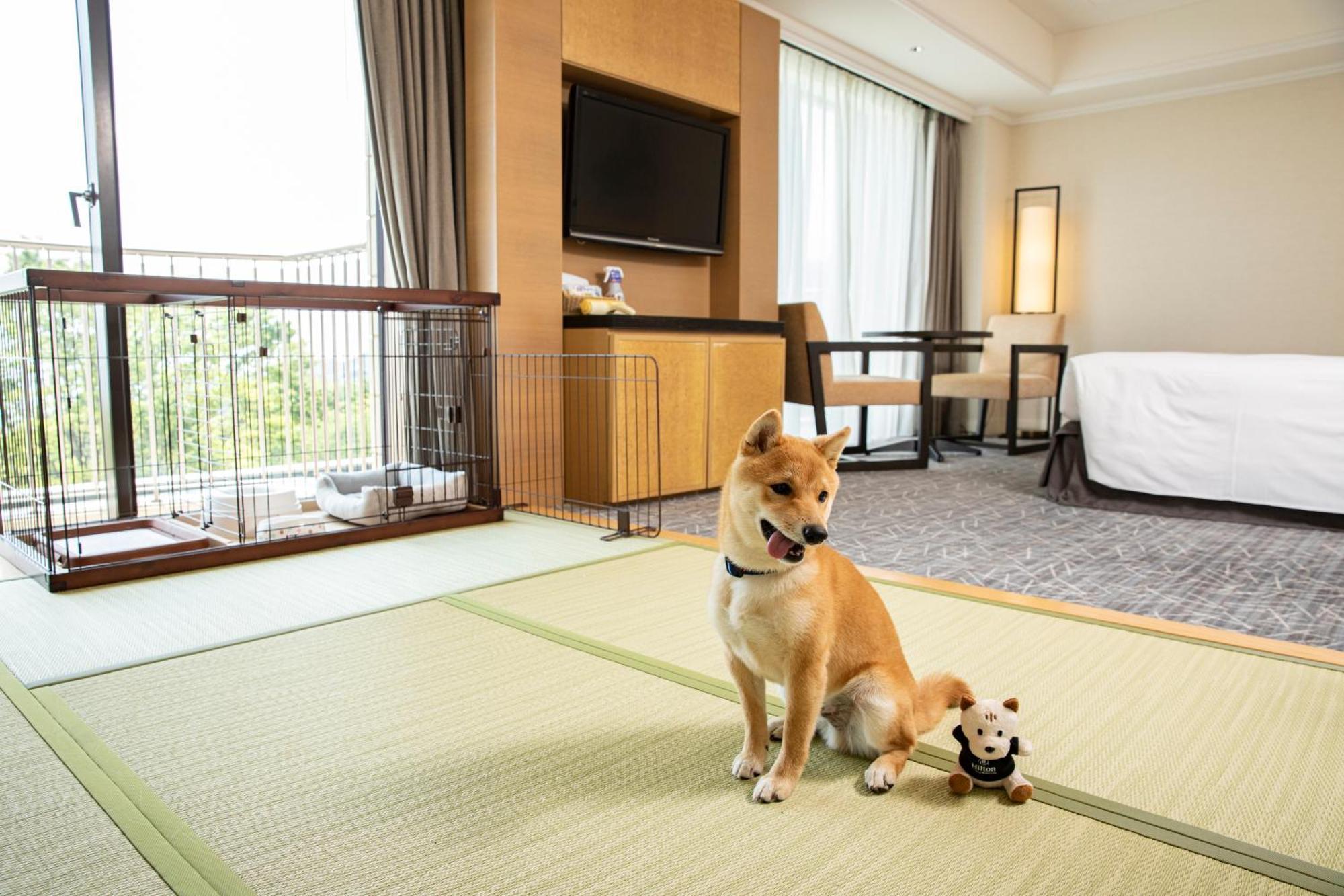 Hilton Odawara Resort & Spa Dış mekan fotoğraf